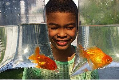 《底特律：化身为人》PC版销量达250万份