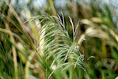 前任天堂公关经理认为《马里奥赛车9》达不到前作高度