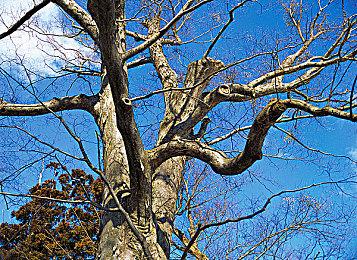 Steam Deck 6月热门游戏 《街头霸王6》登顶